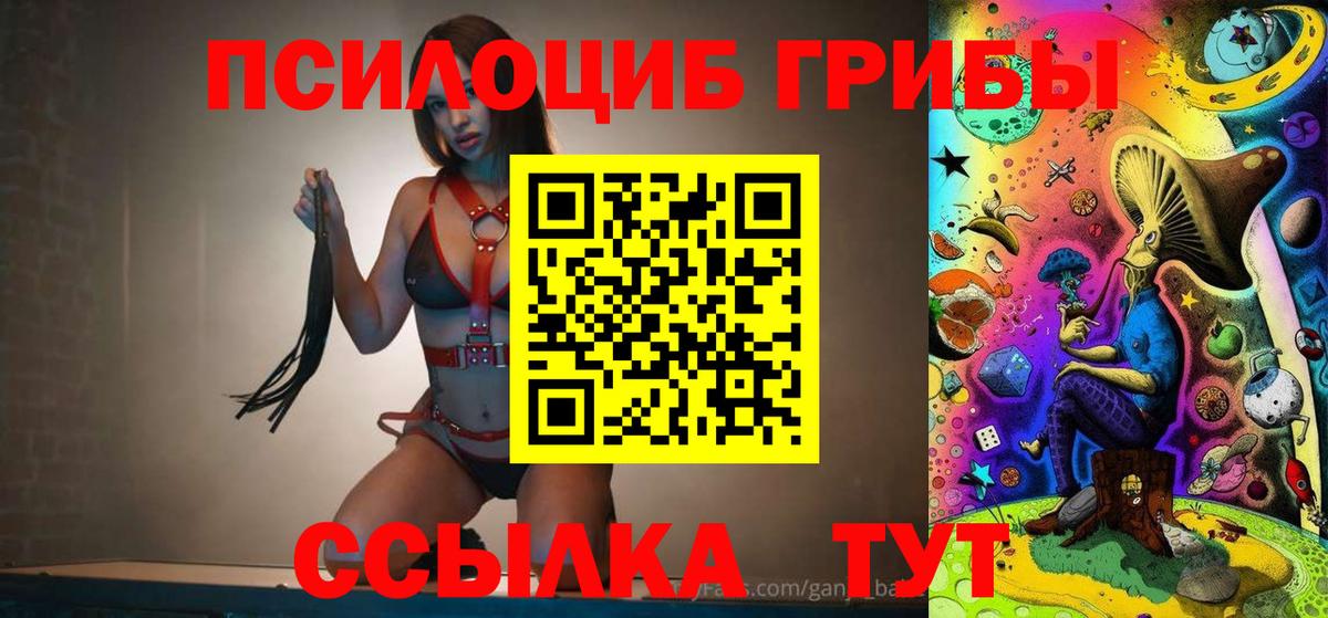 где найти наркотики  Псилоцибиновые грибы Psilocybine cubensis  Вход с VPN  Воскресенск 